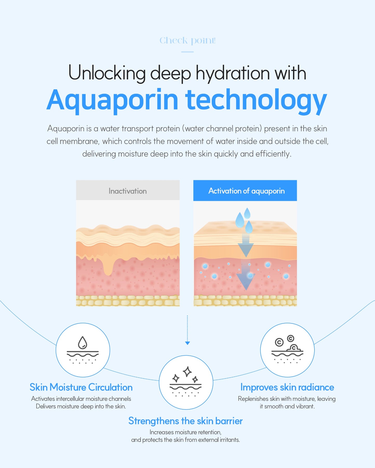 HYALQUAD Core Ampoule 100mL