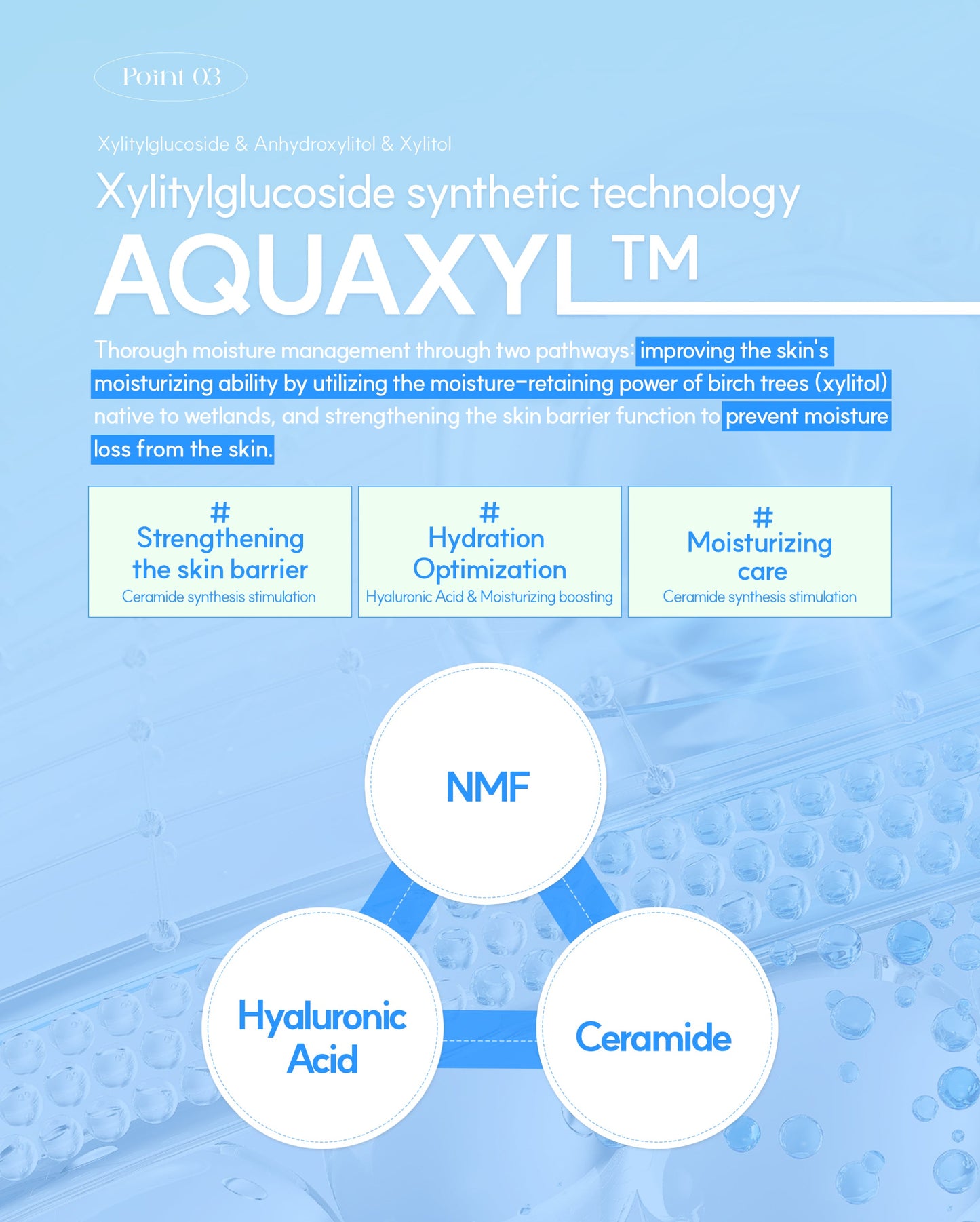 HYALQUAD Core Ampoule 100mL