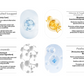 BAKUCHIOL HYPER TONER  + GEL FOAM + UP-SENDA DEEP SNOW BUBBLE TRIO SET